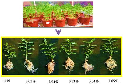 Effects of cypermethrin on morphological, physiological and biochemical attributes of Cicer arietinum (Fabales: Fabaceae)